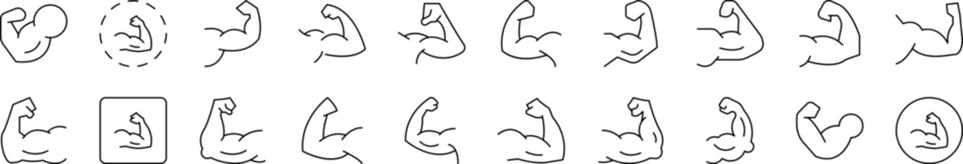Muscles Simple Isolated Line Icons Collection. Editable Stroke. Suitable for Web Sites, Books, Cards, Apps