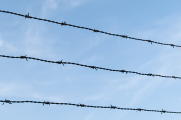 Barbed wire is seen against a backdrop of a blue sky, symbolizing boundaries or restrictions.