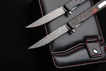 Close-up of a luxury folding knife set in an elegant black leather case. The knife features a...