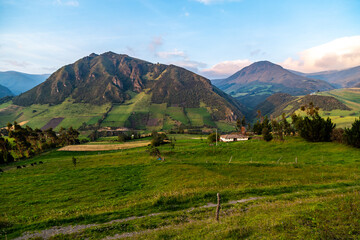 Andean landscape, cultivated fields