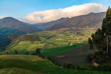 Fototapeta premium Andean landscape, cultivated fields
