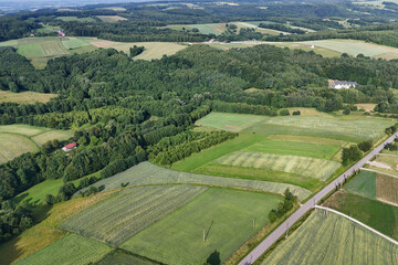 Fototapeta premium Aerial view of lush green fields and forests, showcasing the beauty of rural landscapes and nature's harmony.