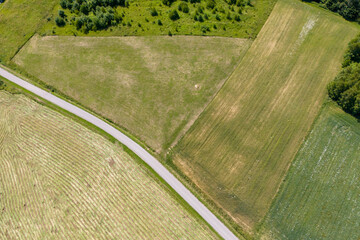 Aerial view of vibrant green farmland with neatly divided plots and a winding road, showcasing rural beauty and agricultural patterns.