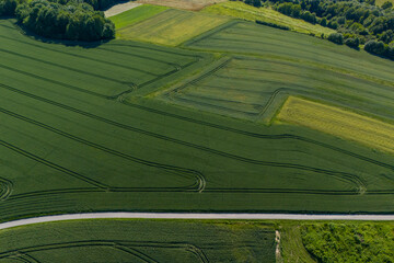 Aerial view of lush green fields with winding paths and vibrant landscapes, showcasing nature's...