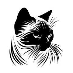 A Burmilla black cat with a white face and whiskers. The cat has a look of determination and focus