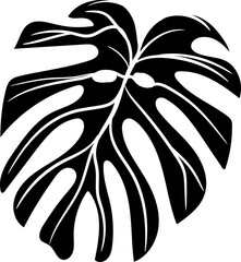 Monstera silhouette, indor house plant silhouette