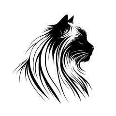 Himalayan cat with long hair and a black and white face. The cat has a very long tail