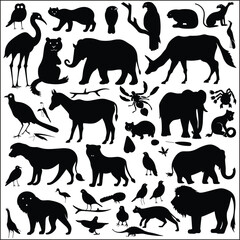 vector isolated silhouette cat set, collection of cats silhouette isolated vector