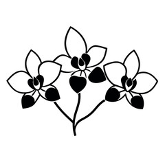 a black and white illustration of three orchid flowers. The flowers are arranged in a symmetrical pattern, with each flower having a unique shape and size 