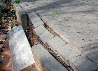 Broken edge of a paving stone sidewalk