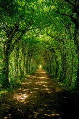 Cool pictures from the ardennes in Belgium