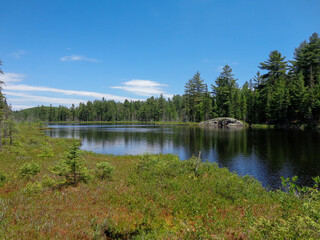 Canadian wilderness lake landscape in Algonquin Provincial Park Ontario