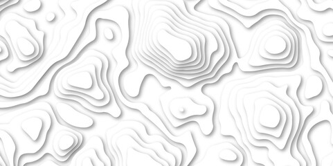 abstract Papercut with multi lines. geometric pattern on vector, Abstract soft white background with waves.