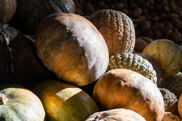 Pumpkins. Chiaroscuro. Agadir, Morocco, in the bazaar called Souk El Had.