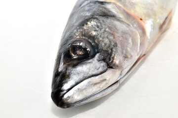 Mackerel fish ready for cooking lies on the table. Close-up.