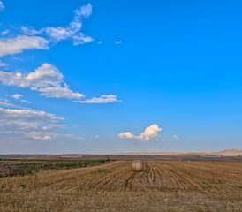 Fototapeta premium Cereal plantation by sunset Teruel is traditionally an agricultural area of Spain The primary cultivation is arid farming of cereals