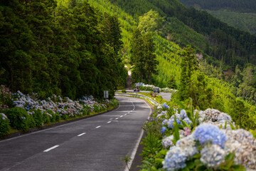 Road with flowers in Sete Cidade. Sao Miguel island, Azores, Portugal