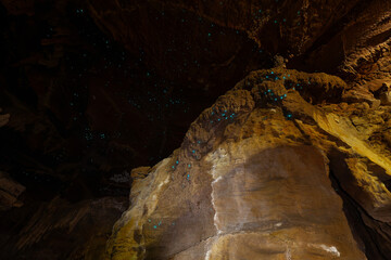 Mystery Creek Cave in Tasmanien. Höhle mit ganz vielen Glühwürmchen. Wildes Tasmanien.