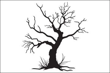 Dead tree silhouette, barren tree, winter tree, tree branches, lifeless tree, dry tree, rustic nature, nature photography, tree art, outdoor scenery, dramatic sky, abstract nature, artistic tree