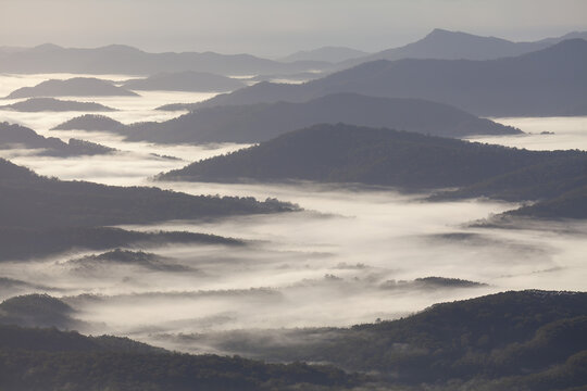 Byron Bay Hinterland im Nebel.  Wollumbin Nationalpark, Mount Jerusalem Nationalpark. Ausblick von Blackbutt Lookout, Border Ranges Nationalpark.