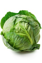 Obraz premium Fresh green head of cabbage on a clean white surface