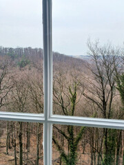 Through the window you can see an autumn park or forest in yellow and orange tones. Autumn gloomy landscape