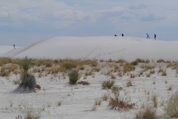 People Hiking Across White Sand Dunes in New Mexico Desert with Sparse Vegetation