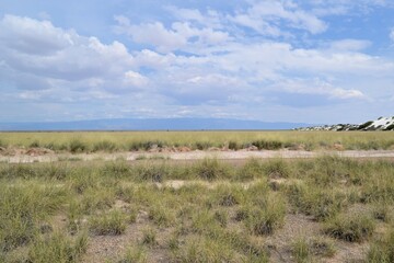 A view of the prairie with a section of white dunes on the right side