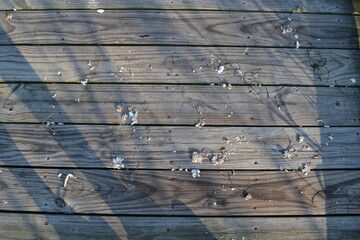 Wooden Pier in Brazos Bend State Park– Natural Texture from Texas Wetlands