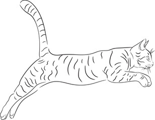 coloring book of a jumping cat pet, mobility, grace. A line drawing of a jumping cat with a striped pattern for a coloring book, a black and white illustration of a playful pet for children and adults