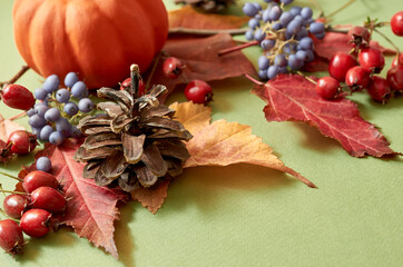 Colorful autumn leaves and pumpkin on a green background. Nature mockup background