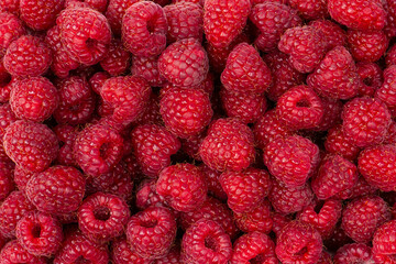 Tasty fresh raspberry as a background.