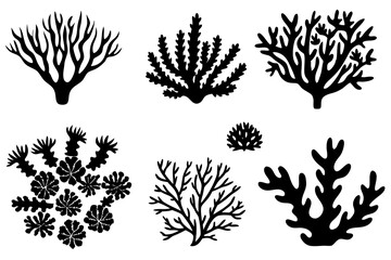 coral vector,  colorful-coral vector,  all different styles of coral, sea creature