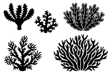 coral vector,  colorful-coral vector,  all different styles of coral, sea creature