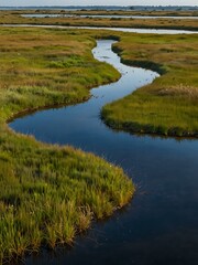 Lush salt marsh featuring tidal streams and ample space.