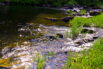 Smokey Mountains, Blue Ridge Mountains, Shenandoah Mountains