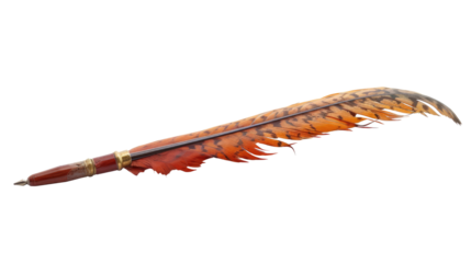 Beautiful orange bird feather isolated on transparent