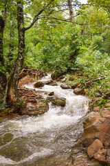 Smokey Mountains, Blue Ridge Mountains, Shenandoah Mountains