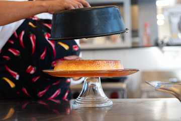 Professional Chefs in Action