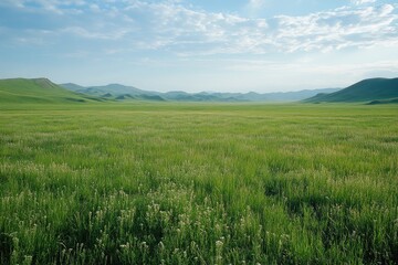 Fototapeta premium Rolling green hills covered with wildflowers reaching the horizon under cloudy sky