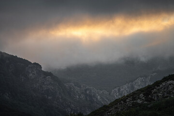 mountains in the fog