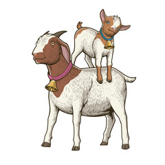 A Kid Standing on a Goat Back