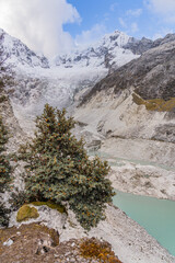 Glacier lagoon with mountains and native trees next to turquoise water in a beautiful blue sky with...