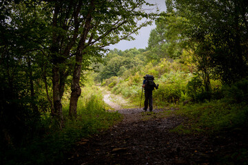 Silhouette of man hiking and backpacking on a trail through the woods alone