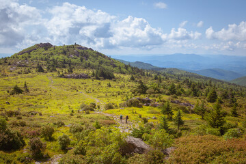 Obraz premium Hikers heading to the peak of a grassy green mountaintop