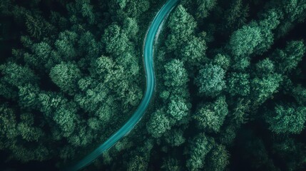 Aerial view of a winding road through a dense forest.