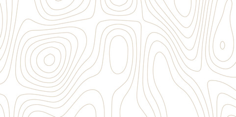 Abstract wave paper curved reliefs background .gradient multicolor wave curve lines banner background design .topographic contours map background .Vector geographic contour map.	