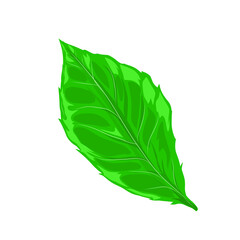 Obraz premium green leaf icon illustration isolated without background