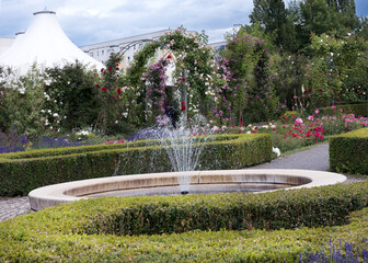 Fontan in the Rose garden. Bush and climbing roses of bright colors