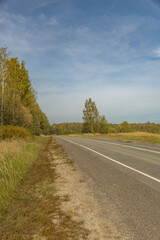 A road with a tree in the middle of it